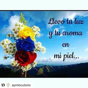 Meet your Posher, Wil